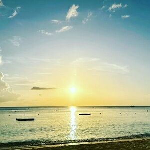 Meet your Posher, Shawndell